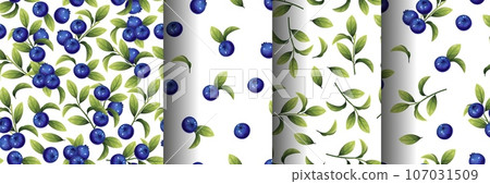 Set Seamless pattern of blueberries on a white background. Texture of blue berries and leaves. Blueberry sprigs for fabric, wallpaper, wrapping paper, etc. Set Seamless pattern of blueberries on a white background. Texture of blue berries and leaves. Blueberry sprigs for fabric, wallpaper, wrapping paper, etc. 107031509