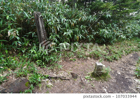 志賀高原寺子屋峰2125m峰從寺子屋滑雪場2023年8月20日 志賀高原寺子屋峰2125m峰從寺子屋滑雪場2023年8月20日 107033944