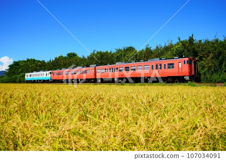 彩色稻穗和鱈魚子彩色 Kiha 47 系列 107034091