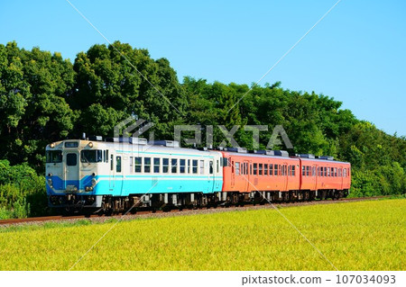 Kiha 40/47 series along the Kotoku Line with Inaho color, Shikoku color + Tarako color 107034093