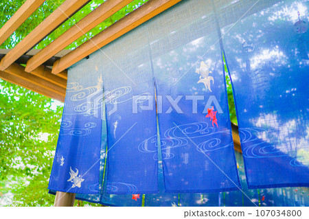 圖案很酷的門簾 107034800