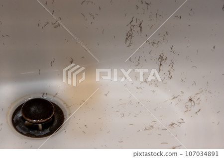 Small pieces of hair left in a bathroom sink after a man finished shaving in the morning Small pieces of hair left in a bathroom sink after a man finished shaving in the morning 107034891