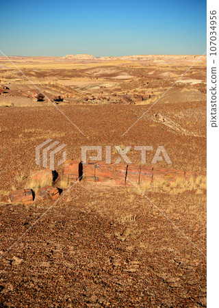 Rugged and Desolate Landscape Petrified Forest Arizona 107034956
