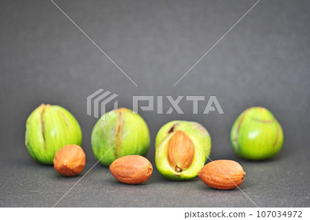 Green kaya fruit and brown seeds (autumn, September) Green kaya fruit and brown seeds (autumn, September) 107034972