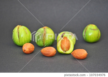 綠咖椰果與棕色種子(秋季、九月) 綠咖椰果與棕色種子(秋季、九月) 107034976