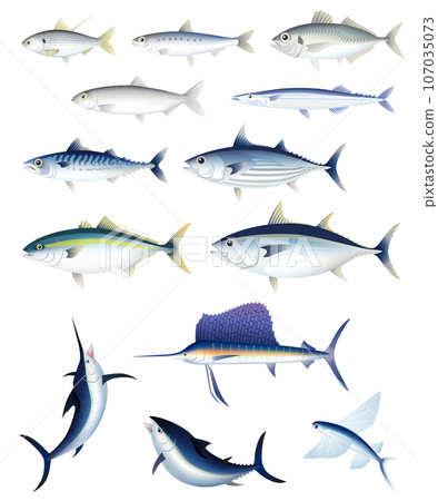 藍色的魚套裝 藍色的魚套裝 107035073