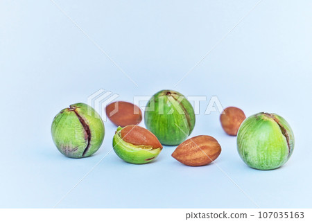 Green split kaya fruit and brown seeds (autumn, September) Green split kaya fruit and brown seeds (autumn, September) 107035163