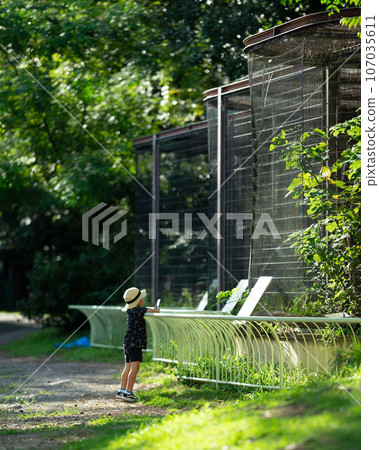 Boy looking at animals at the zoo 107035611