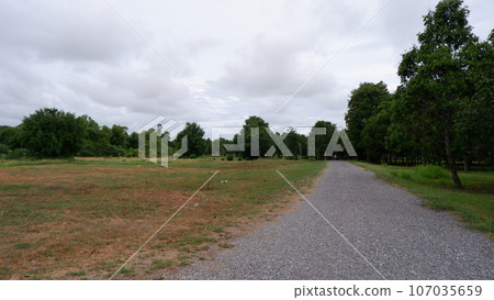 A tree park in a hospital of Royal Thai Naval Millitary Base in Sattahip district 107035659