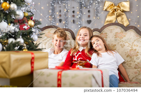 Two girls and boy on sofa in Christmas interior Two girls and boy on sofa in Christmas interior 107036494