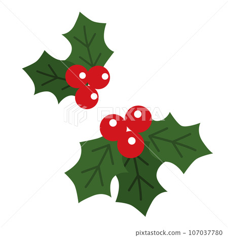 Christmas holly illustration - Stock Illustration [107037780] - PIXTA
