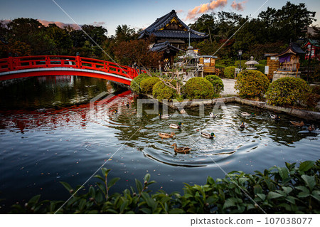 Autumn at Shinsen-en Garden, the vermilion-lacquered Hosei Bridge reflected in the Hosei Pond, autumn sunset scenery 107038077