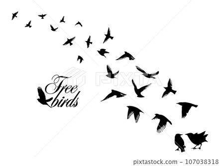Flying birds silhouette flock. Vector illustration Flying birds silhouette flock. Vector illustration 107038318