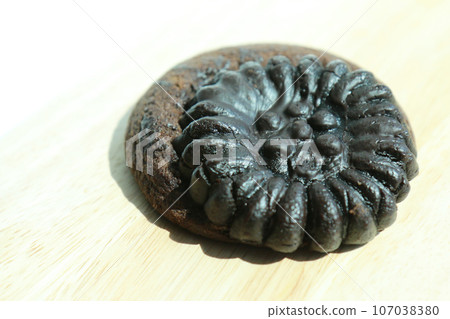 Yakga cookies (chocolate flavor) (Korea) Yakga cookies (chocolate flavor) (Korea) 107038380