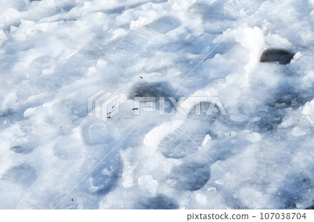 Footprints in wet snowy road, close up photo 107038704