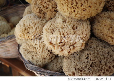 Sea sponge on display in street shop on Symi island ,Rhodes, Greece Sea sponge on display in street shop on Symi island ,Rhodes, Greece 107039124