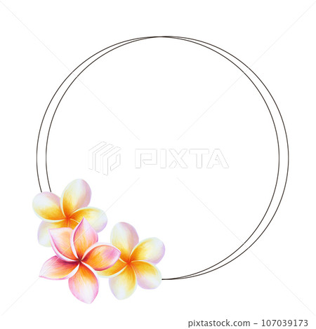 Watercolor frame with realistic tropical illustration of plumeria flowers with leaves isolated on white background. Beautiful botanical hand painted frangipani clip art. For designers, spa decoration 107039173