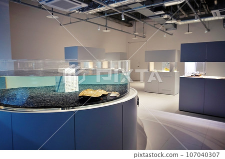 Aquarium “AOAO SAPPORO” inside moyuk SAPPORO 107040307