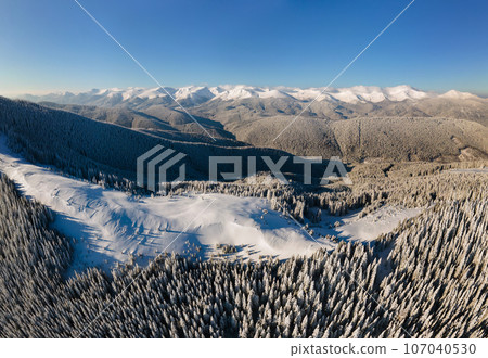 Aerial view of winter landscape with mountain hills covered with evergreen pine forest after heavy snowfall on cold bright day. 107040530