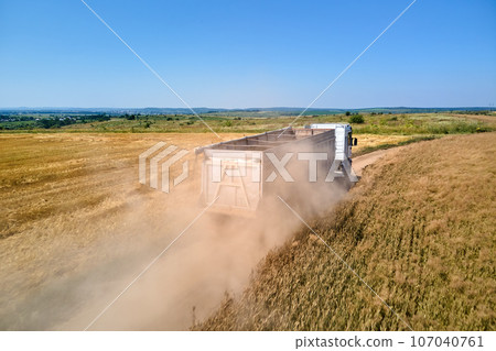 Aerial view of lorry cargo truck driving on dirt road between agricultural wheat fields. Transportation of grain after being harvested by combine harvester during harvesting season Aerial view of lorry cargo truck driving on dirt road between agricultural wheat fields. Transportation of grain after being harvested by combine harvester during harvesting season 107040761