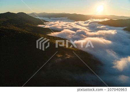 Aerial view of foggy evening over dark pine forest trees at bright sunset. Amazingl scenery of wild mountain woodland at dusk 107040963