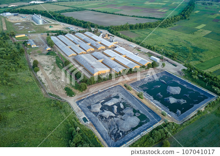 Aerial view of cattle farm buildings between green farmlands 107041017
