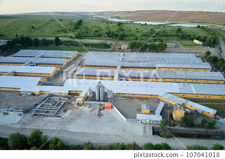 Aerial view of cattle farm buildings between green farmlands Aerial view of cattle farm buildings between green farmlands 107041018
