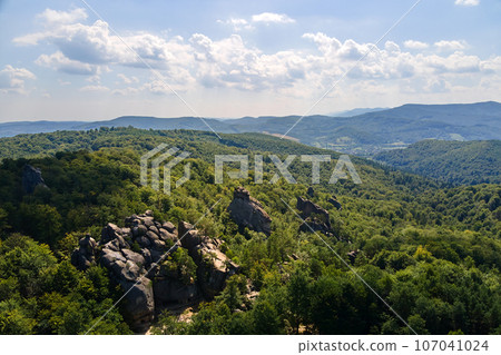 Aerial view of bright landscape with green forest trees and big rocky boulders between dense woods in summer. Beautiful scenery of wild woodland. 107041024