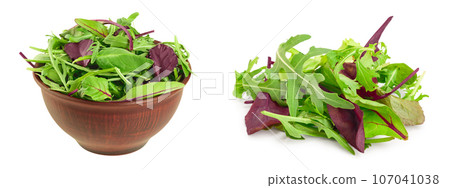 Mix salad - arugula, spinach and chard in the bowl isolated on white background Mix salad - arugula, spinach and chard in the bowl isolated on white background 107041038