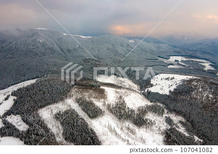 Aerial view of barren winter landscape with mountain hills covered with evergreen pine forest after heavy snowfall on cold quiet evening. 107041082