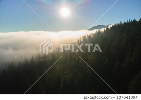 Aerial view of amazing scenery with foggy dark mountain forest pine trees at autumn sunrise. Beautiful wild woodland with shining rays of light at dawn 107041094