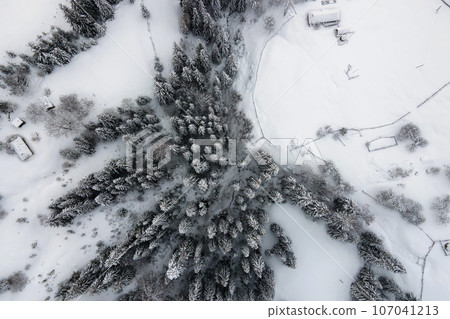 Aerial foggy landscape with evergreen pine trees covered with fresh fallen snow after heavy snowfall in winter mountain forest on cold quiet evening. Aerial foggy landscape with evergreen pine trees covered with fresh fallen snow after heavy snowfall in winter mountain forest on cold quiet evening. 107041213