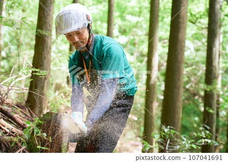 一個人在森林裡用電鋸砍樹，林業伐木影像 107041691