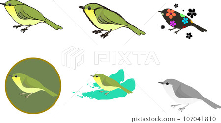 可愛的夜鶯插圖集 107041810