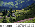 Cozy wooden house hut in Tatra mountains Poland. Summer clearing, meadow, pine trees, spruce trees, purple mountain flowers Epilobium angustifolium. Stanning landscape 107041813