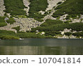 A 'Czarny Staw Gasienicowy' Lake Tatra Poland. Rocks, forest, trees, ducks 107041814