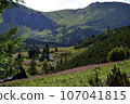 A wooden house in a valley in mountains near 'Schronisko Murowaniec'. The stunning natural beauty of Zakopane, Poland. Trees, forest, lilac flowers, mountains, landscape, summer 107041815