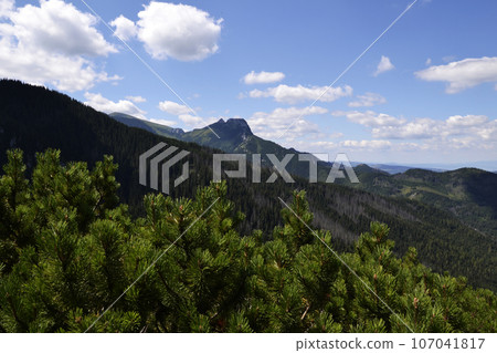 Stunning summer view in mountains Tatra Poland. Blue sky, pine trees, spruce trees, peak 107041817