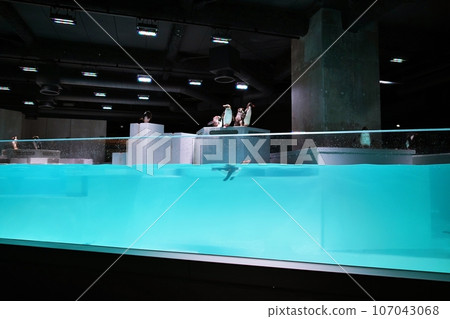 Scenery of the aquarium "AOAO SAPPORO" inside moyuk SAPPORO 107043068