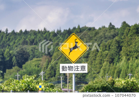 Animal caution sign deer Animal caution sign deer 107044070