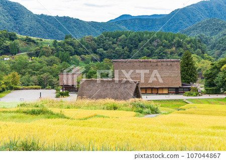 "Gifu Prefecture" Shirakawa-go in autumn - fruitful autumn and gassho-zukuri village "Gifu Prefecture" Shirakawa-go in autumn - fruitful autumn and gassho-zukuri village 107044867