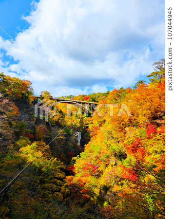Autumn leaves of Naruko gorge Autumn leaves of Naruko gorge 107044946