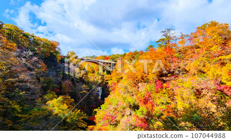 Autumn leaves of Naruko gorge 107044988