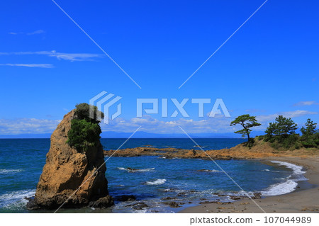 beautiful coastal scenery 107044989