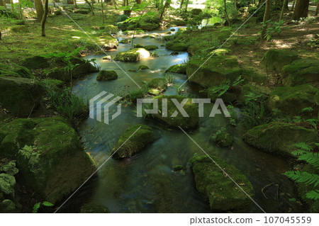 成田山新勝寺和成田山公園 成田山新勝寺和成田山公園 107045559