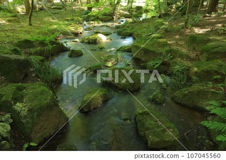 成田山新勝寺和成田山公園 成田山新勝寺和成田山公園 107045560