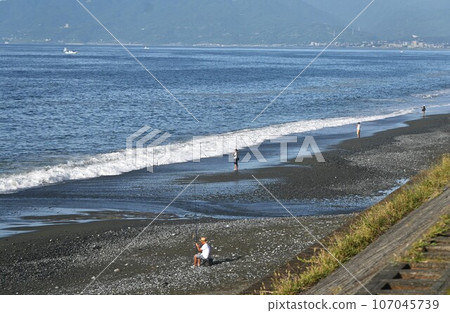 beach angler beach angler 107045739
