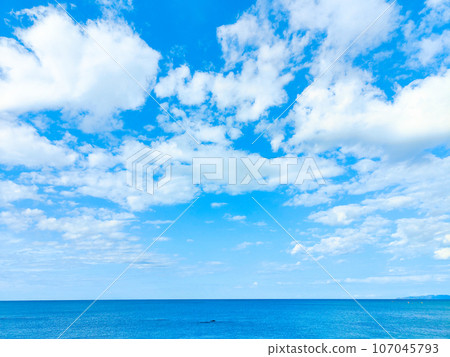 天空和大海 107045793