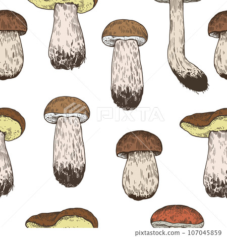 Seamless pattern with mushrooms in retro engraving style. Vintage hand-drawn print for design and textile. 107045859