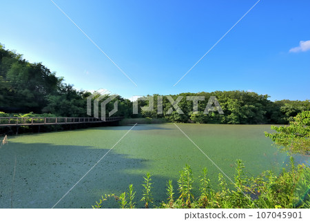 Futatsuike Pond in Moriyama Ward, Nagoya City with a wide blue sky Futatsuike Pond in Moriyama Ward, Nagoya City with a wide blue sky 107045901